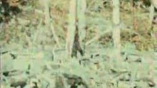 01_patterson