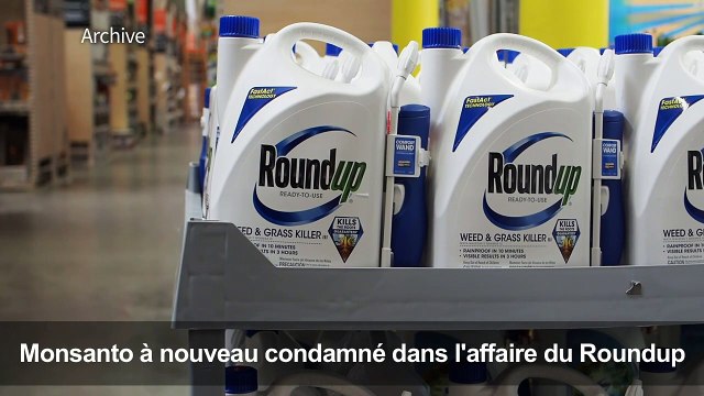 Monsanto reconnu coupable dans le procès Roundup
