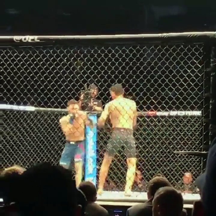 Max Holloway vs Frankie Edgar- Full match Ufc 240