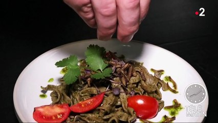 Afrique du Sud : un restaurant propose uniquement des insectes