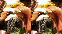Sawan Month: Lord Shiva को क्यों चढ़ाया जाता है शिवा मुट्ठी, ये है असल वजह | Boldsky