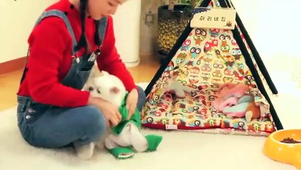 성남출장안마 -후불100%ョ O7OW7301W9649｛카톡LA25｝ 성남전지역출장안마 성남오피걸 성남출장마사지 성남안마 성남출장마사지 성남콜걸샵ħłø