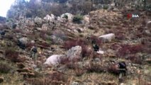 Siirt'te etkisiz hale getirilen 2 PKK’lı teröriste ait mühimmat ele geçirildi