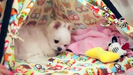 화성출장안마 -후불100%ョØ7ØE7575E0048｛카톡XN94｝ 화성전지역출장안마 화성오피걸 화성출장마사지 화성안마 화성출장마사지 화성콜걸샵ÞŦŊ