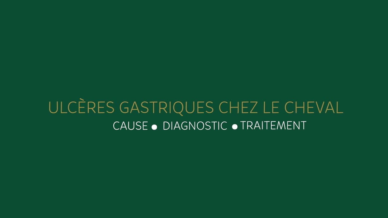 Les ulcères gastriques chez le cheval