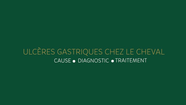 Les ulcères gastriques chez le cheval