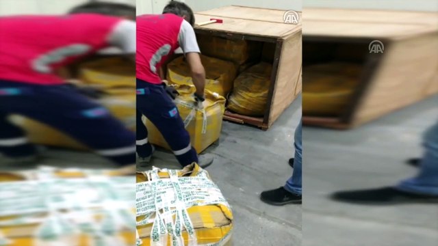 İstanbul Havalimanı'nda 1,2 ton pangolin pulu ele geçirildi - İSTANBUL