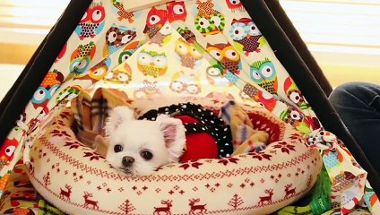 고흥출장타이Ø1ØA8109A5900｛카톡GD825｝ぱ고흥출장안@마ぱ고흥출장샵ぱ고흥출장맛사지 ぱ고흥출장걸썰 고흥출장걸가격 고흥출장러시아 고흥외국인후불출장업소 고흥24시출장마사지샵'예약ピフブ