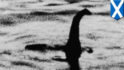 26,000 people plan to storm Loch Ness to 'find dat big boi'