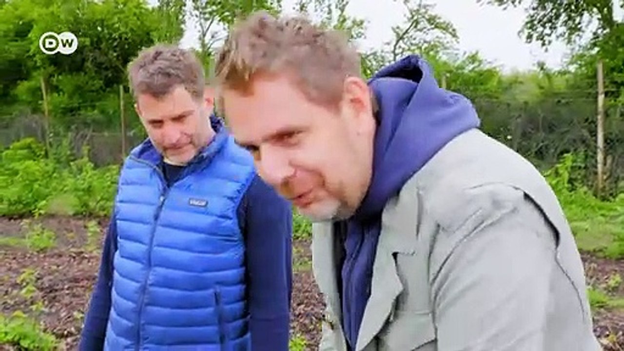 Polens Sternepionier Wojciech Modest Amaro | Euromaxx