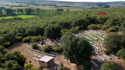 Edirne'de bal hasadı başladı