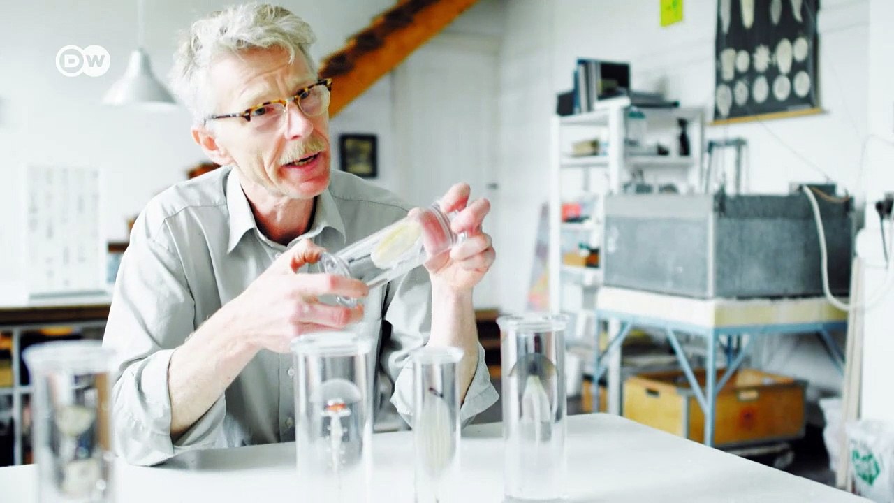 Der glaskünstler | euromaxx