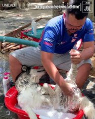 This good boy is absolutely loving his spa day!