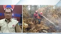 Kebakaran Lahan di Riau Meluas, Pemadaman Terkendala Sumber Air