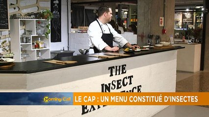 En Afrique du Sud, un restaurant propose un menu constitué d'insectes [The Morning Call]