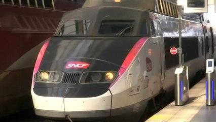 Riattivata la linea Torino-Lione, interrotta per frana