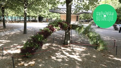 [Histoire et botanique] “Inspiration mosaïculture” :  les étapes de la création  d’une exposition-promenade