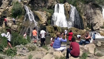 Serinlemek isteyenler Muradiye Şelalesi'ni tercih ediyor - VAN