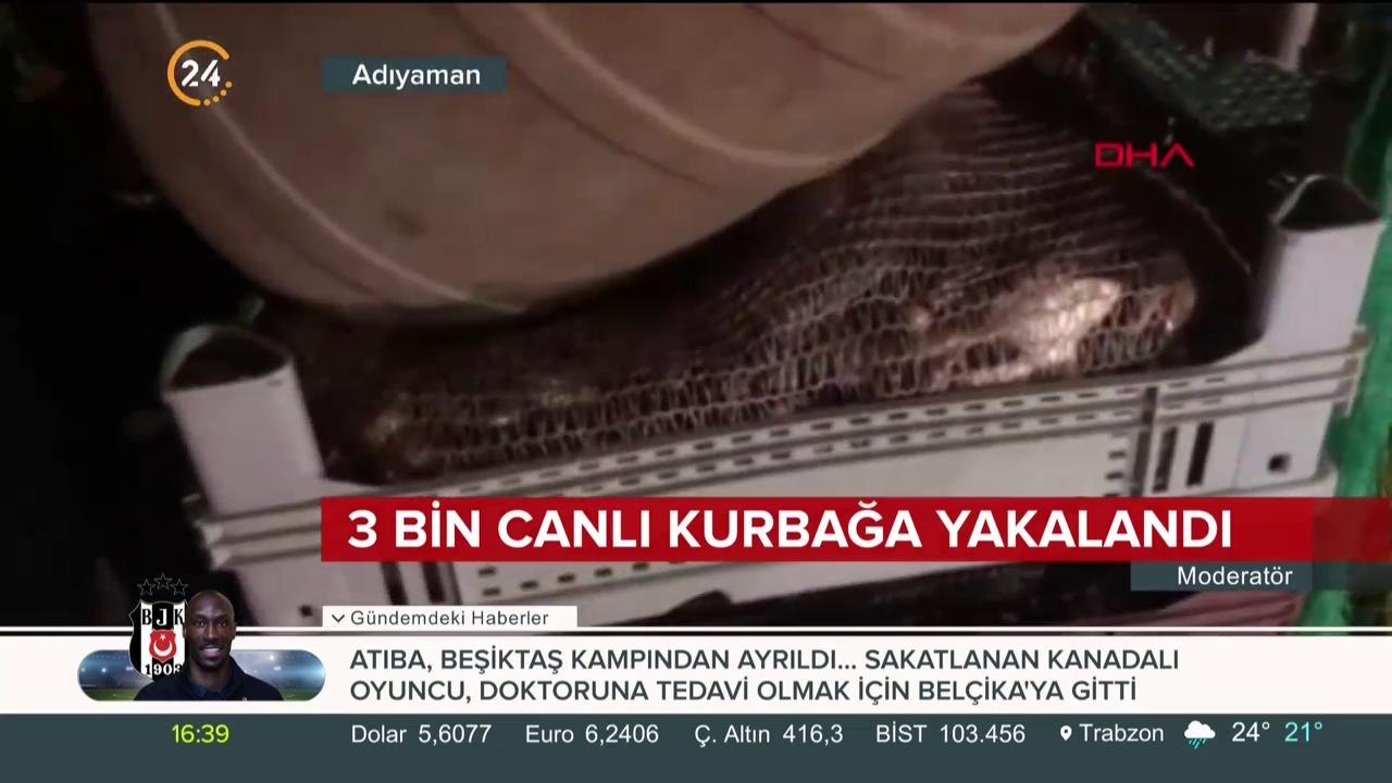 Jandarma operasyon yaptı