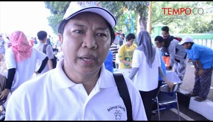 Pentingnya-Vaksin-Bagi-Hewan-Kesayangan.flv