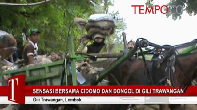 Wow! Ini Sensasi Bersama Cidomo dan Dongol di Gili Trawangan