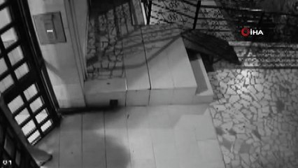 İçerisinde 800 bin TL'lik döviz ve ziynet eşyası bulunan kasayı böyle çaldılar