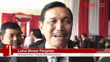 Luhut Panjaitan: Pengganti Kepala Staf Kepresidenan, Tanya Jokowi