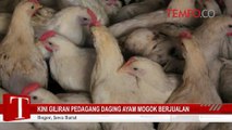 Kini Giliran Pedagang Daging Ayam Mogok Berjualan
