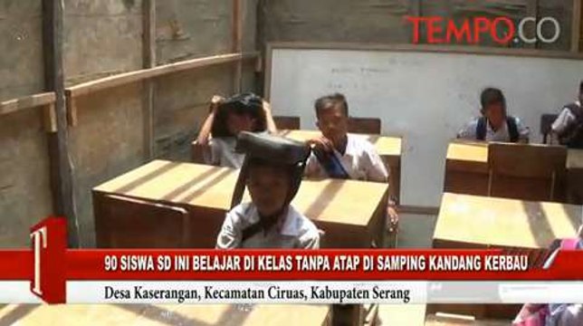 90 Siswa SD Ini Belajar di Kelas Tanpa Atap Dekat Kandang Kerbau