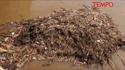 Pasca-Banjir Kiriman, Tumpukan Sampah Kayu Hambat Arus Sungai Ciliwung