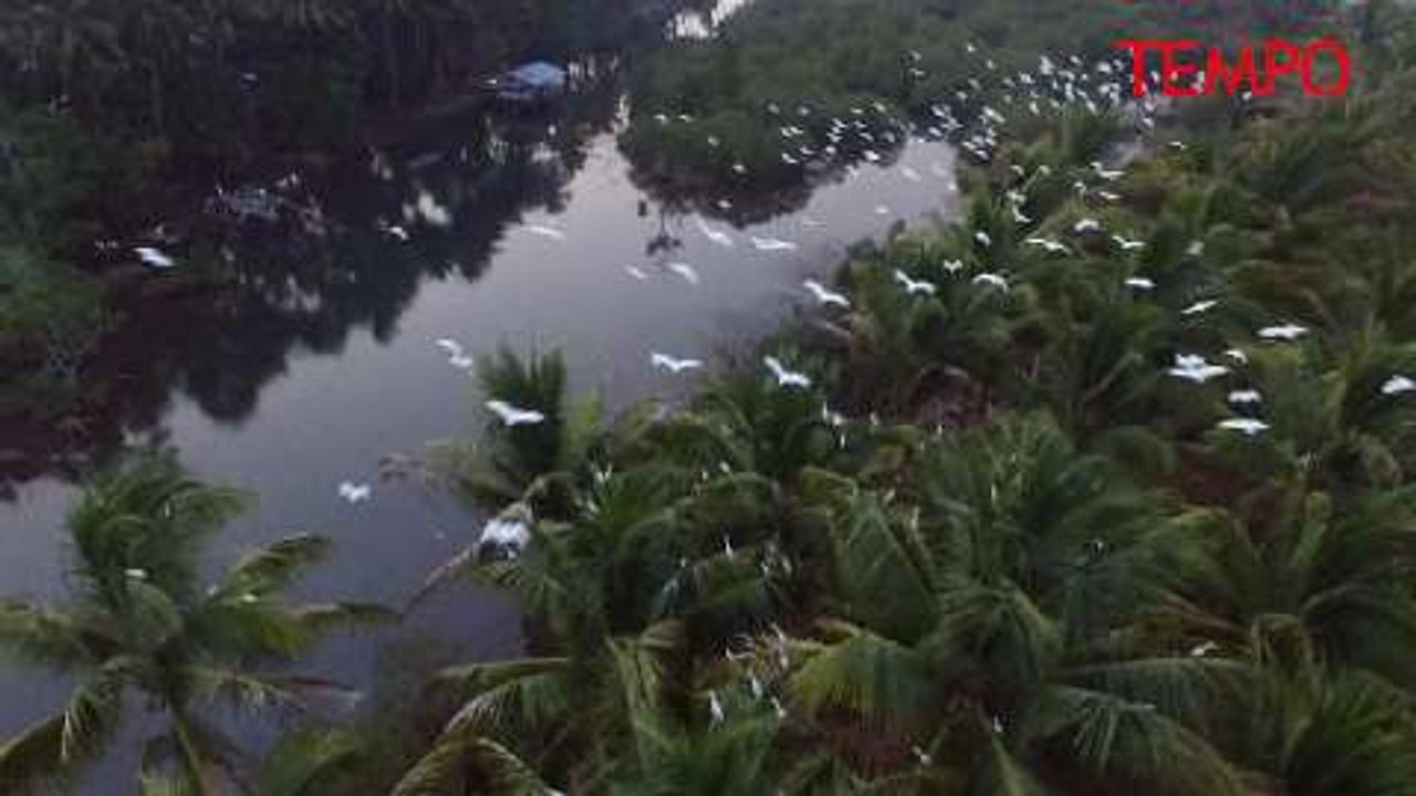 Pesona Pantai Nusantara