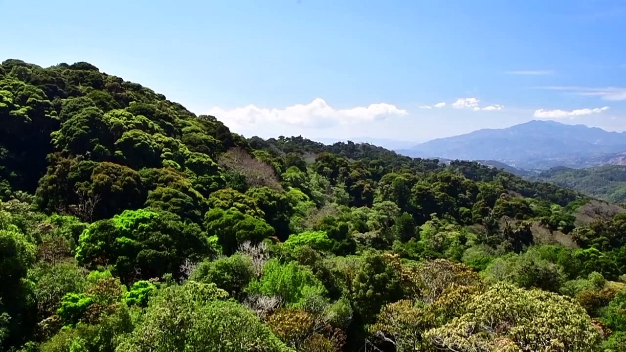 Erdüberlastungstag: Ab jetzt lebt die Menschheit auf Pump