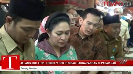 Jelang Idul Fitri, Komisi IV DPR RI Sidak Harga Pangan di Pasar Rau
