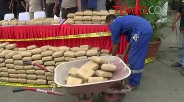 700 Kg Ganja Asal Aceh Dimusnahkan di Bandara Soekarno Hatta