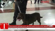 Polres Bandara Soekarno Hatta Libatkan Anjing Pelacak Untuk Amankan Arus Mudik