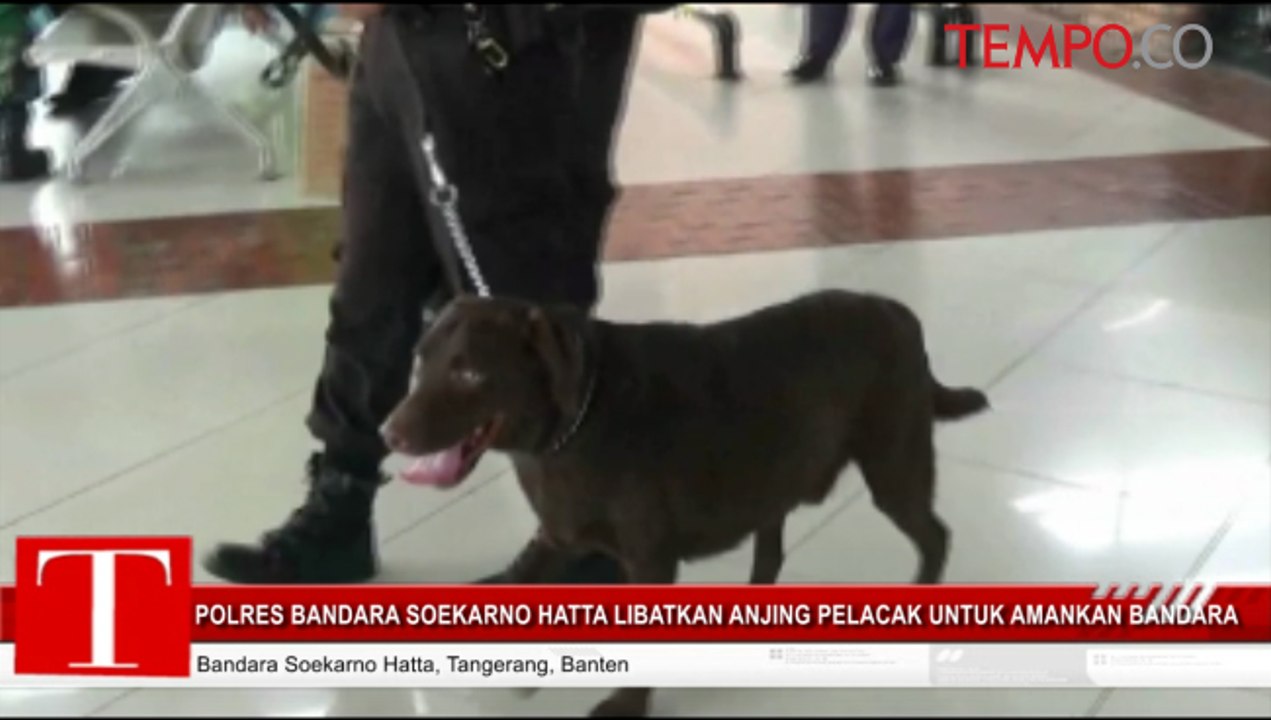 Polres Bandara Soekarno Hatta Libatkan Anjing Pelacak Untuk Amankan Arus Mudik