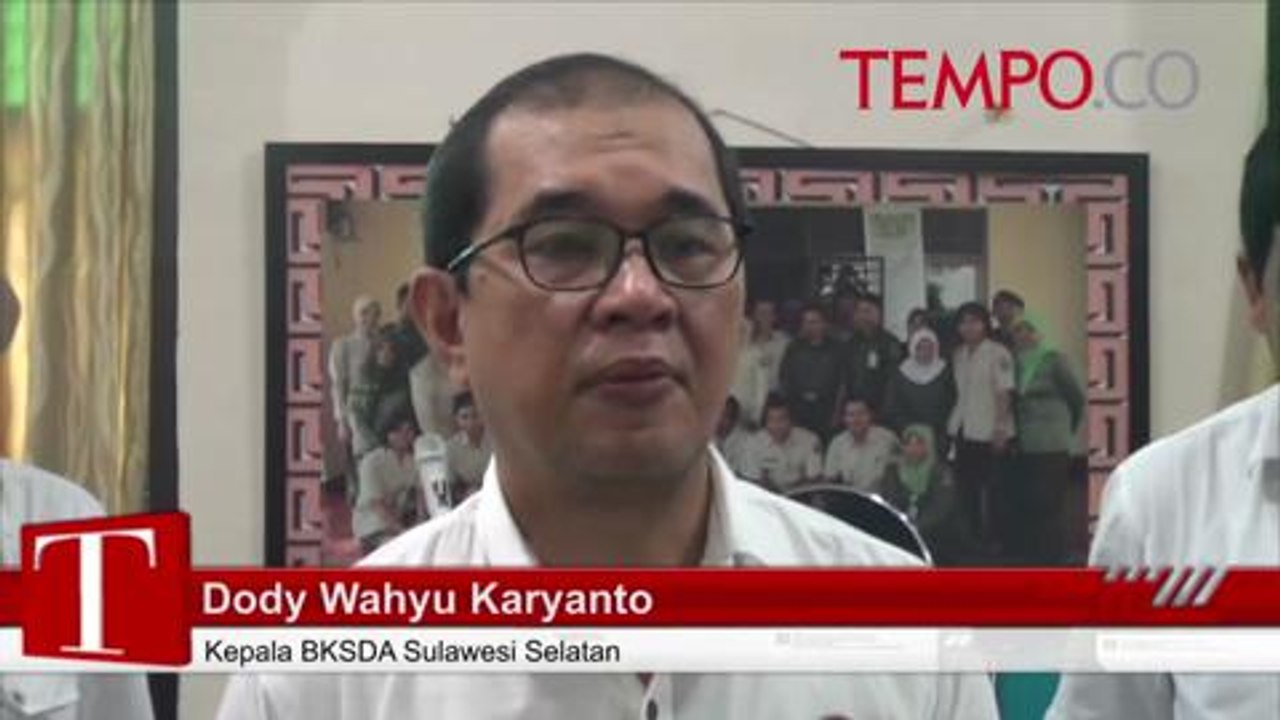 BKSDA Gagalkan Penyelundupan Burung Langka