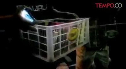 SEKILAS BERITA: Begini Suasana Menjelang Demo 4 November - Clip #demo4November