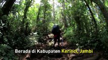 Danau Gunung Tujuh