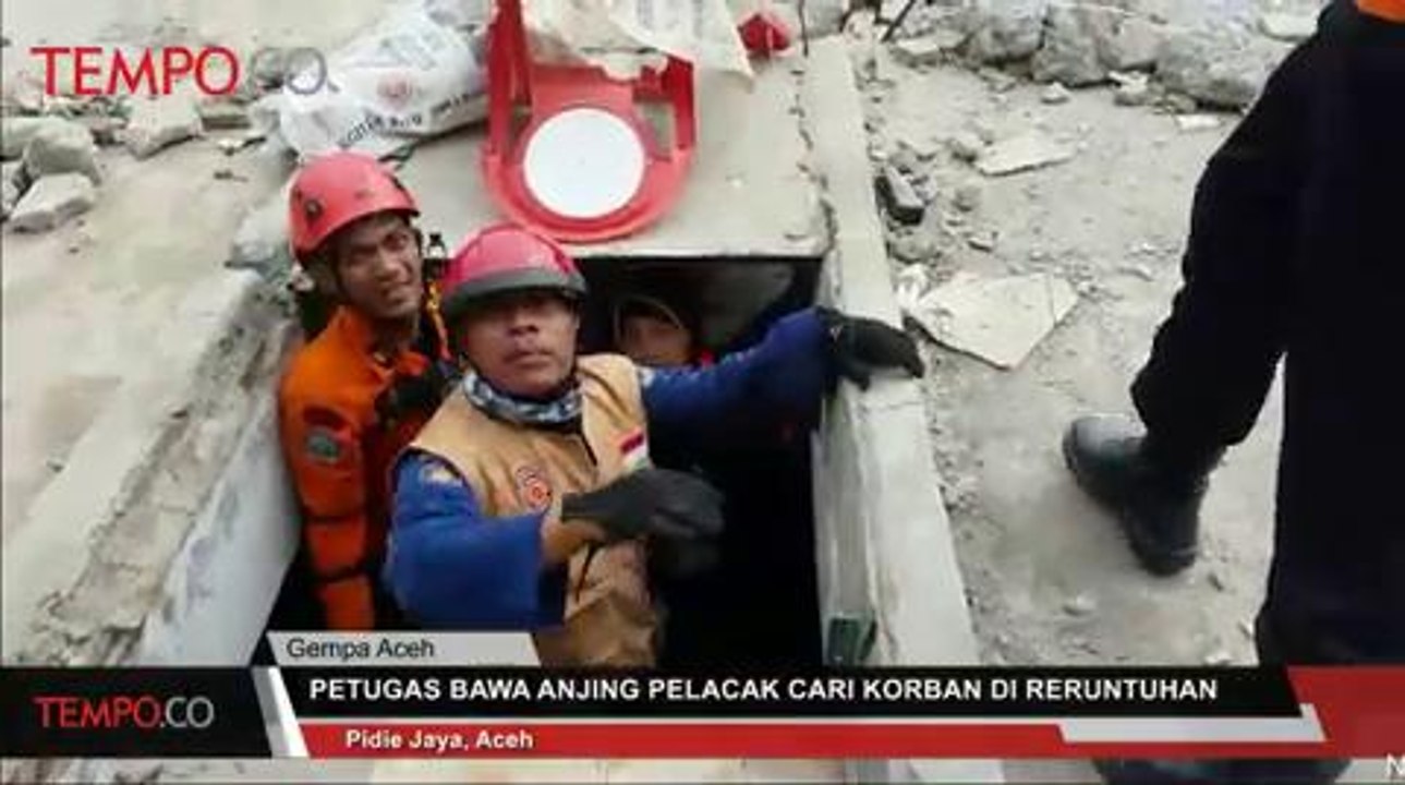 Petugas Bawa Anjing Pelacak Cari Korban Gempa di Reruntuhan