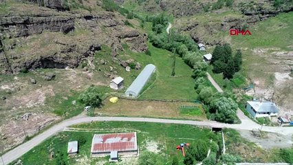 ERZURUM SULTAN'IN SERASINDA MÜZİK SONRASI VERİM ARTTI