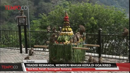 Tradisi Rewanda, Memberi Makan Kera di Goa Kreo