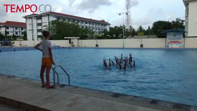 Usung Tari Kecak Bali, Timnas Renang Indah Optimis Gondol Emas di SEAGAMES