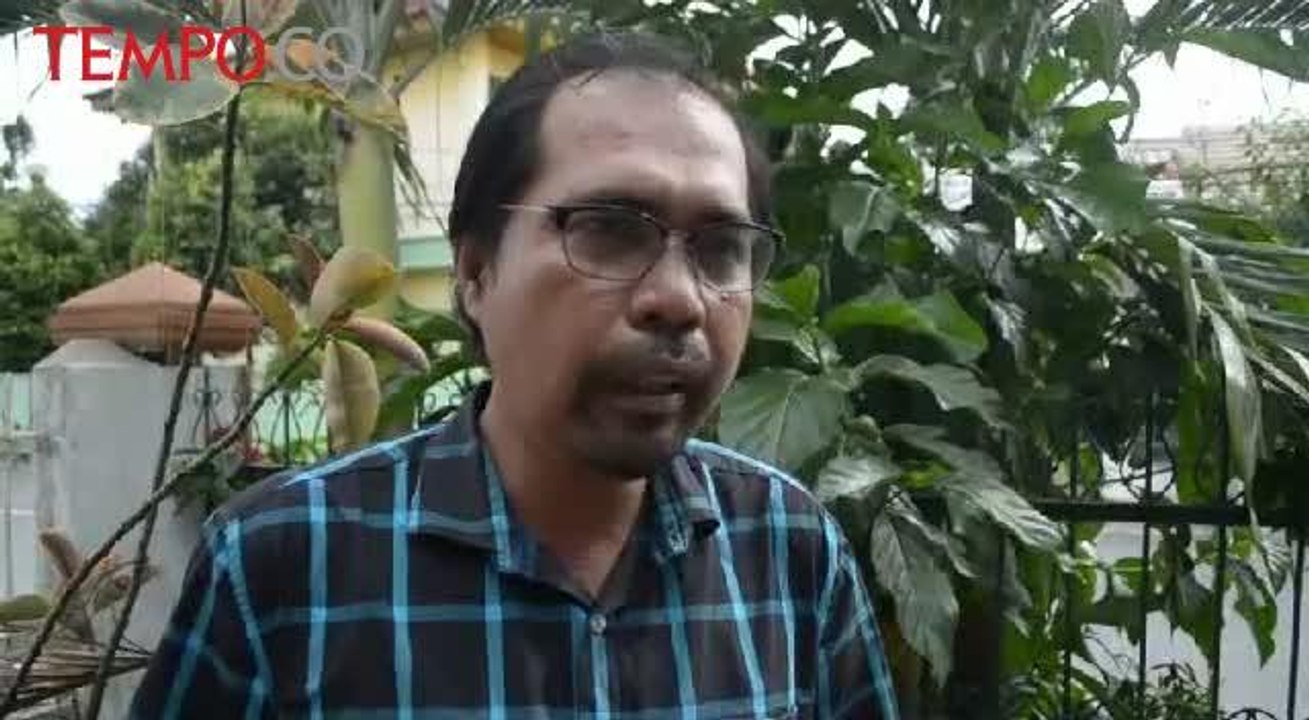 Izin Tambang dan Kelapa Sawit Disebut Penyebab banjir di Riau