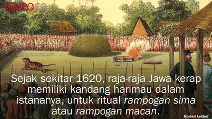 Harimau, Dihormati Lalu Diburu