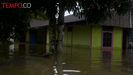 Download Video: Dua Pekan Alami Banjir, Kutai Barat Darurat Penanganan Bencana Banjir