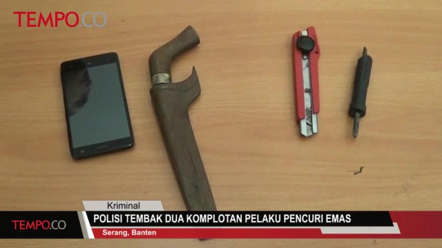 Polisi Tembak Dua Komplotan Pelaku Pencuri Emas