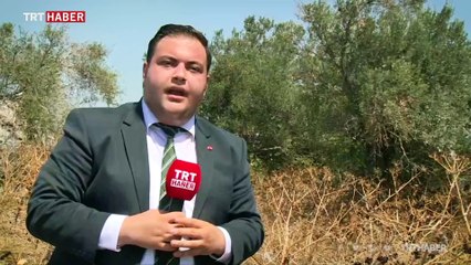 Bursa'da sahibinden satılık ada