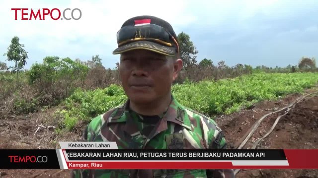 Kebakaran Lahan Riau, Petugas Terus Berjibaku Padamkan Api