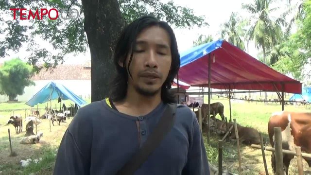 Sepi Pembeli, Pedagang Hewan Kurban di Tangerang Jual Hewan Kurban Via Online